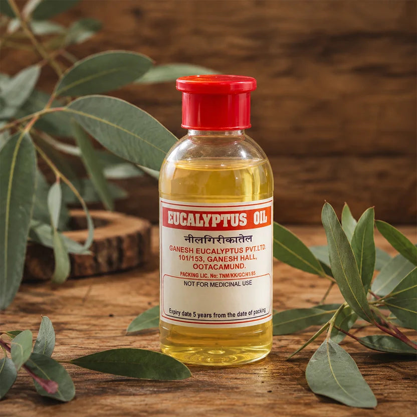 Eucalyptus Oil